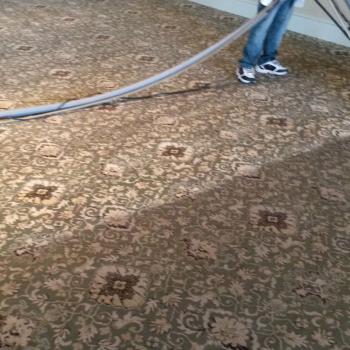 Carpet Cleaning Gallery 8